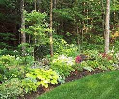 Landscape Design In Wooded Areas