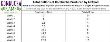 Continuous Brew Kombucha Faq Cb Questions Kombucha Kamp