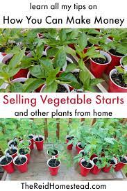 pin on homesteading making money from