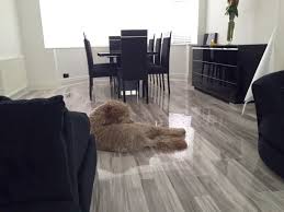 colorado light oak high gloss laminate