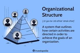 organizational structure for companies
