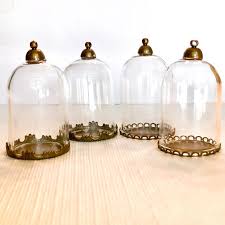 miniature glass dome set of 4 cloches