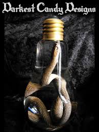 Snake in Lightbulb Jar - Wet Specimen by DarkestCandyDesigns on DeviantArt