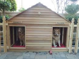 Goliath Dog House Outdoor Dog House