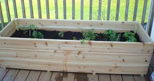 Building Raised Bed Gardens Two Basic