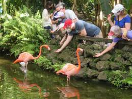 Flamingo Gardens 4 Great Reasons To