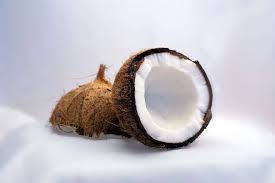 coconuts grow