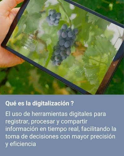 🍇📲 La digitalización está transformando la vitivinicultura Sensores, plataformas de gestión, herramientas de trazabilidad, aplicación y riego inteligente, entre otras; permiten producir de manera más eficiente, sustentable y competitiva. Desde INTA ...