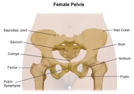 pelvic girdle pain in pregnancy advice