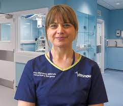Ana marques estudou comunicação social em lisboa e, ainda durante a sua formação. Surgical Specialist Ana Marques On Why She Joined Vets Now In Glasgow