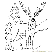 Supercoloring.com is a super fun for all ages: Deer Ice Coloring Page For Kids Free Deer Printable Coloring Pages Online For Kids Coloringpages101 Com Coloring Pages For Kids