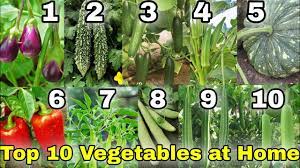 february season top 10 vegetables you
