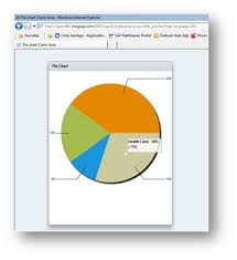 Pie Charts In Adobe Flex Using Webdynpro For Abap Sapignite