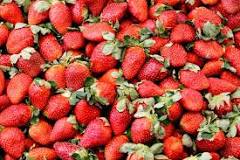 what-is-the-best-month-for-strawberries