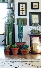 Indoor Cactus Garden Ideas To Display
