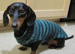 Easy Dog Sweaters Pattern By Talking