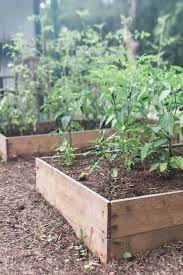 How To Build A Raised Garden Bed For