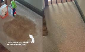 carpet area rug cleaning