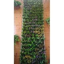 vertical green plants outdoor wall