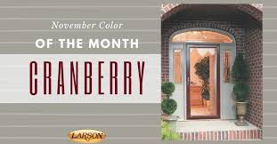 Color Of The Month Cranberry