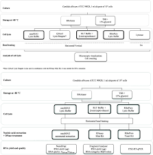 comparison of the efficiency of