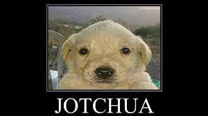 Jotchua | Know Your Meme