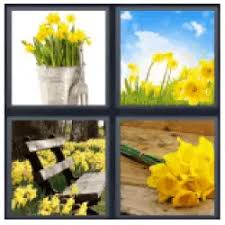 4 pics 1 word daffodil 4 pics 1 word