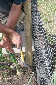 Erecting Wire Mesh Rabbit Proof Fence