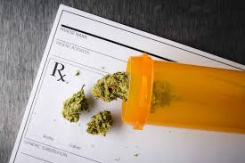 If a person who suffers from a state qualifying condition sees a florida medical marijuana doctors and becomes a registered mmj patient, they are the identification card given to approved medical marijuana patients in florida is administered by the florida department of health's office of. Florida Medical Marijuana Laws Know Your Rights Mike G Law
