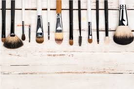 natural bristle makeup brushes