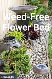 Weed Free Flower Bed