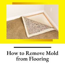 how to remove mold from flooring