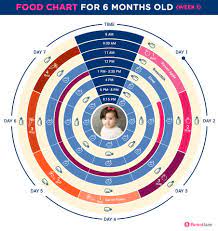 6 months old baby food chart