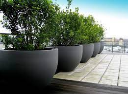 Stylish Concrete Planters