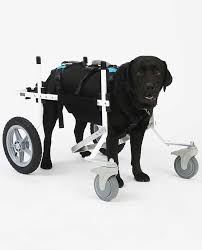 We looked at features including the weight of each wheelchair, the type of wheels, and ease of assembly. Dog Wheelchair For Front Legs K9 Carts