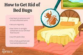 how to get rid of bed bugs