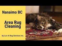 nanaimo bc area rug cleaning by luv a
