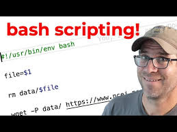how to write a bash script for your