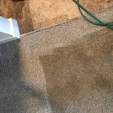 professional clean carpet cleaning