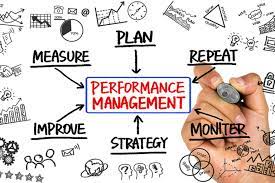 Performance Management Software for Small Companies: BusinessHAB.com