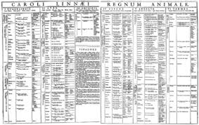 Linnaean Taxonomy Wikipedia