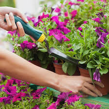 How To Start A Garden Get A Green Thumb