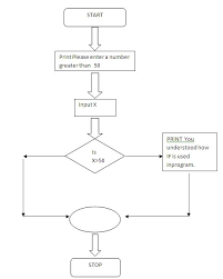 Flow Chart Explaining If And Relational Operators In Ansic