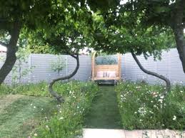 What are the shipping options for herb plants? The Wildflower Lawn Section As Seen Through The Stunning Swing Trees Loveyourgarden Garden Gardening Gardens Tv Television Plants Wild Flowers Garden