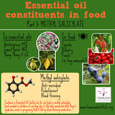 Methyl Salicylate Essential Oil Constituents In Food Part 5