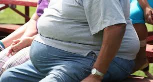 「美國肥胖男女」的圖片搜尋結果