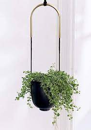 abetree metal hanging planter