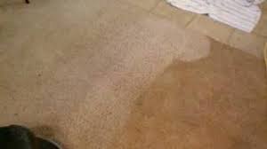 heavens best carpet cleaning red clay