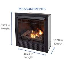 Ventless Dual Fuel Fireplace Insert