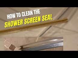 How To Clean The Shower Screen Seal